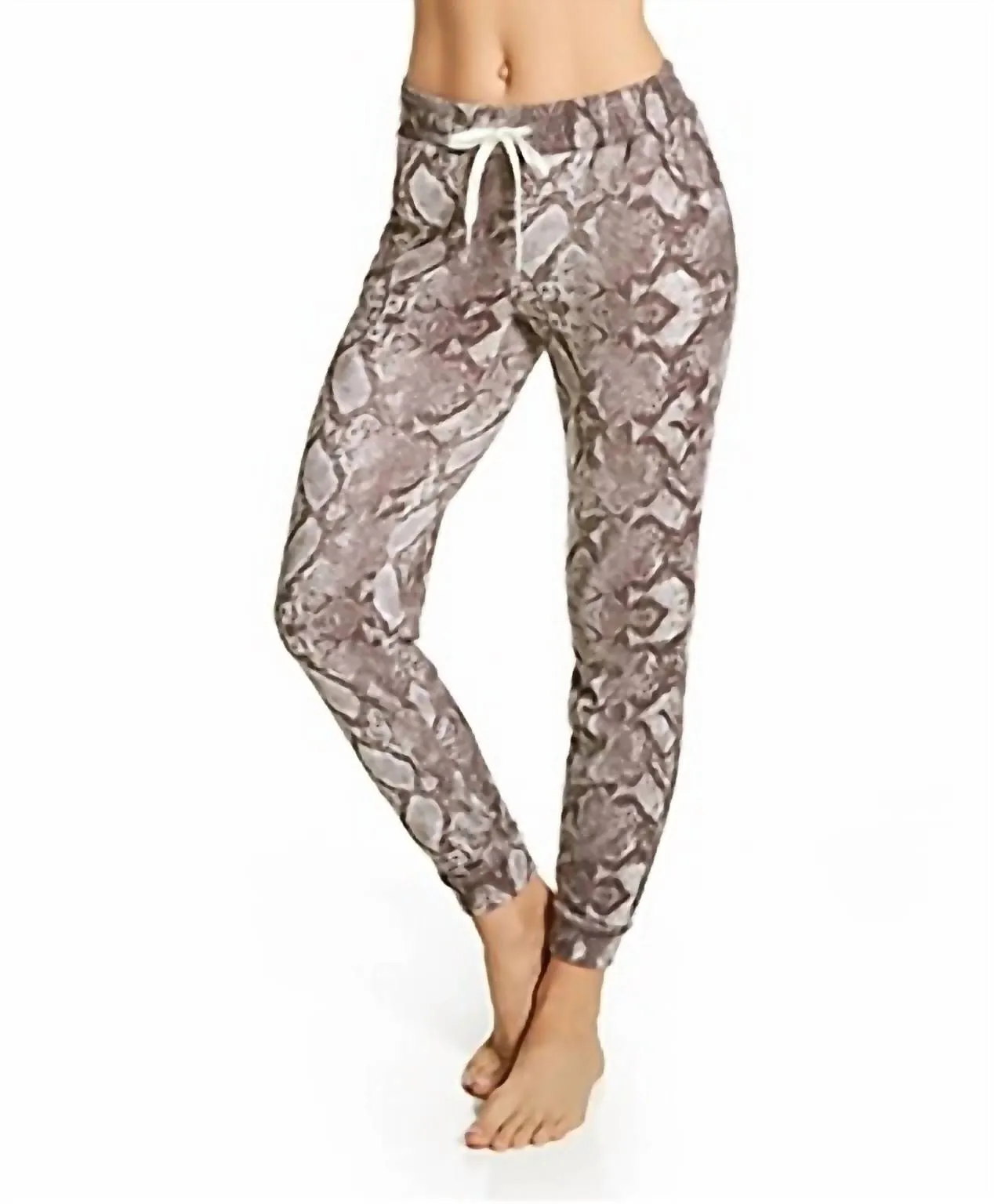 Snake Bite Feather Knit Jogger In Cocoa