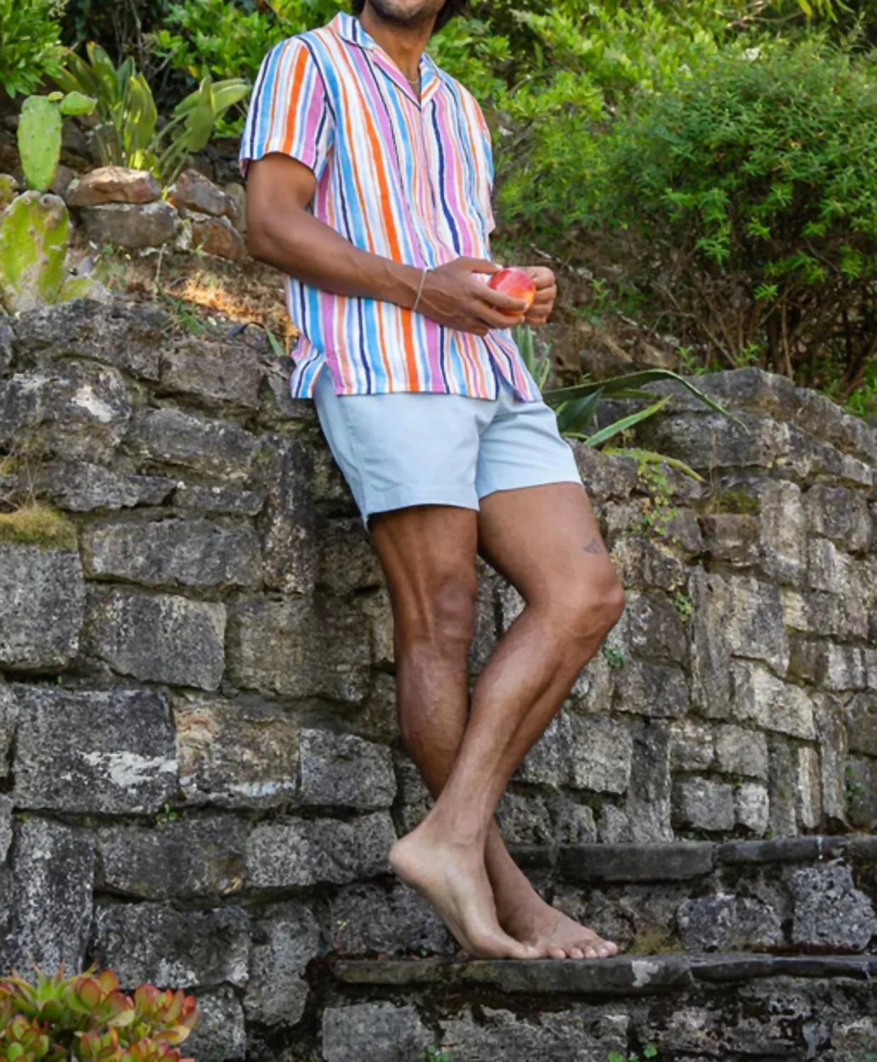 The Altitudes 5.5 Inch Short In Chubbies - The Altitudes 5.5 Inch
