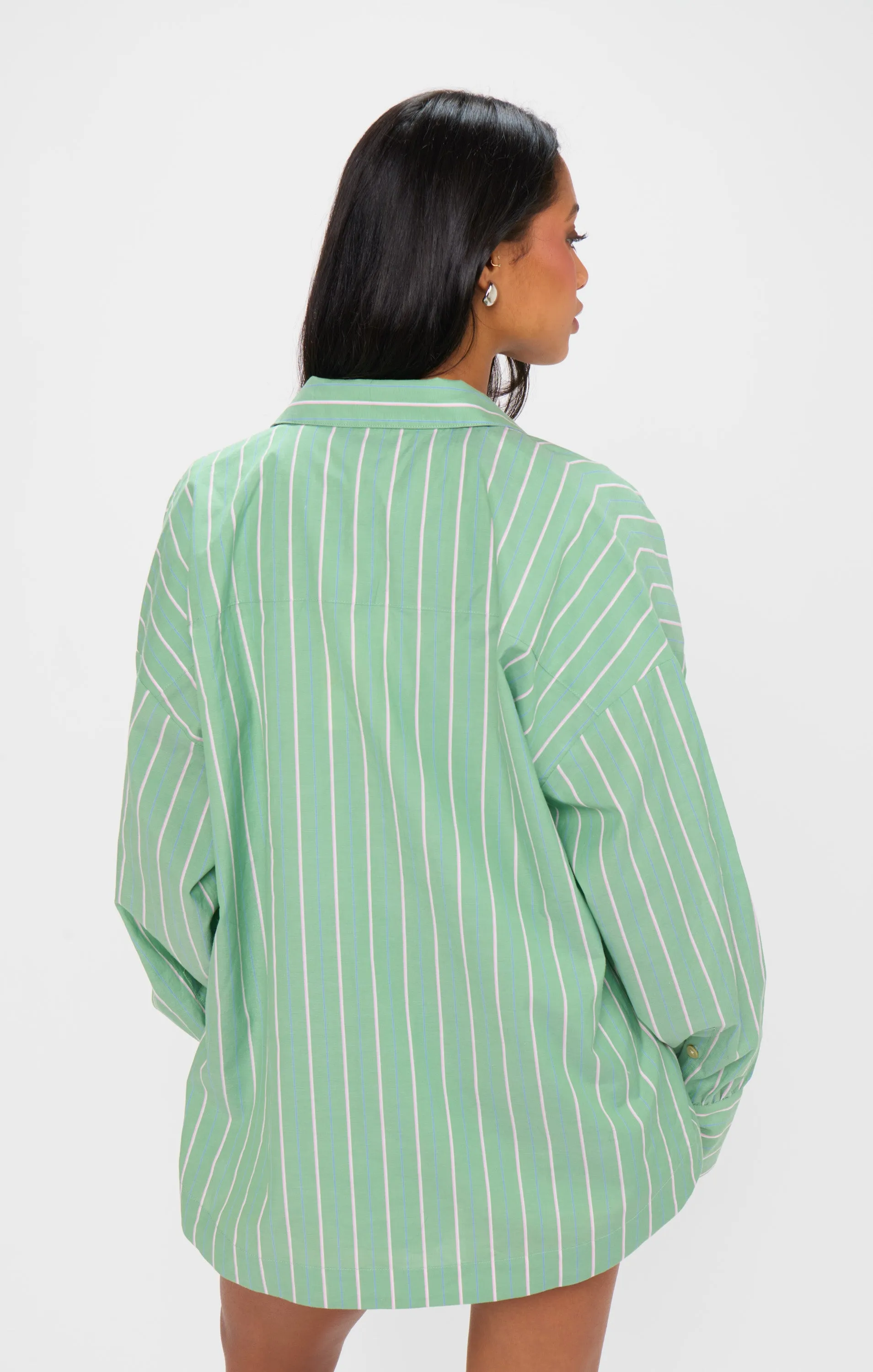 Tyler Button Down ~ Pistachio Stripe